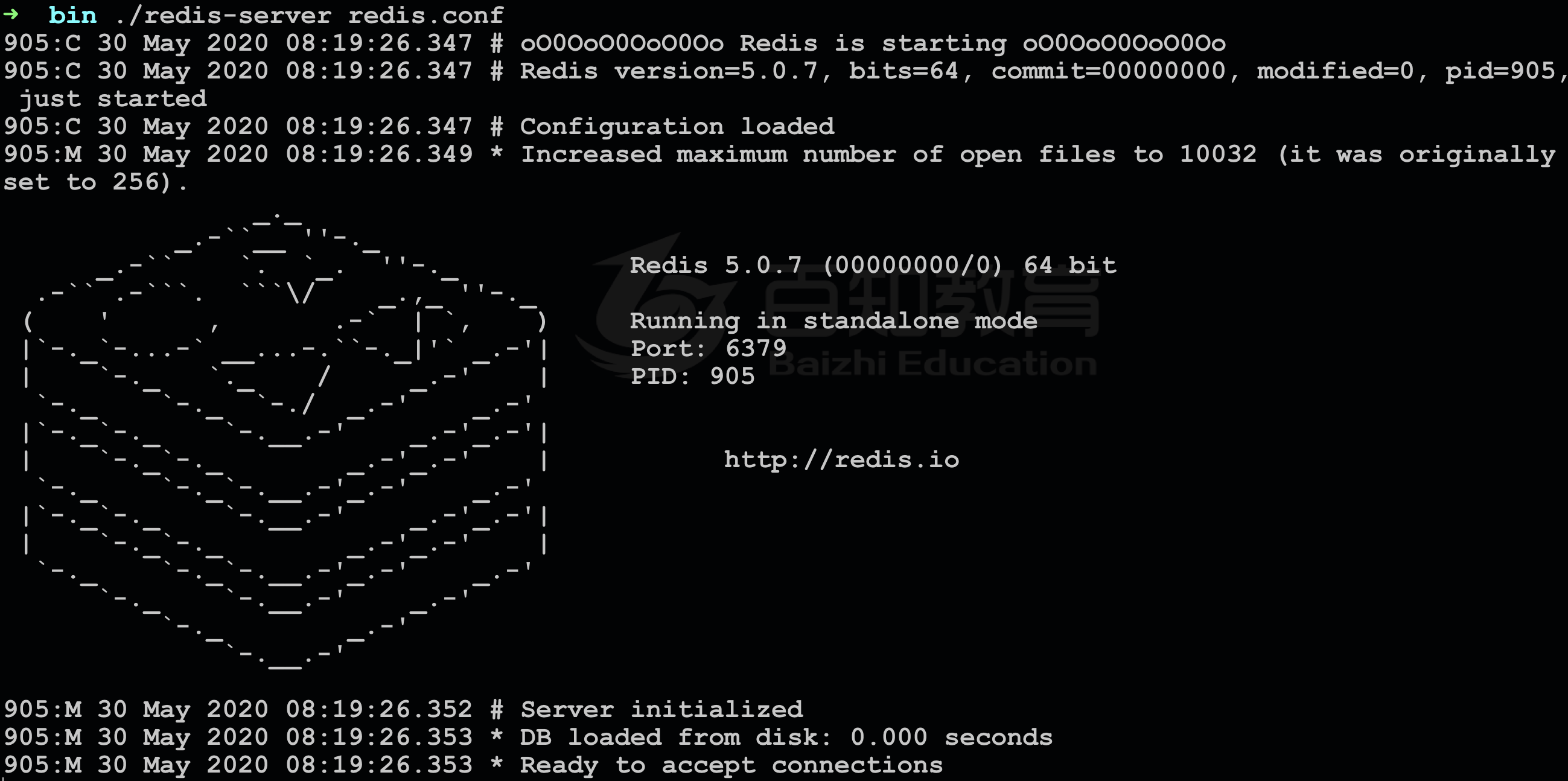 image-20200530081954871